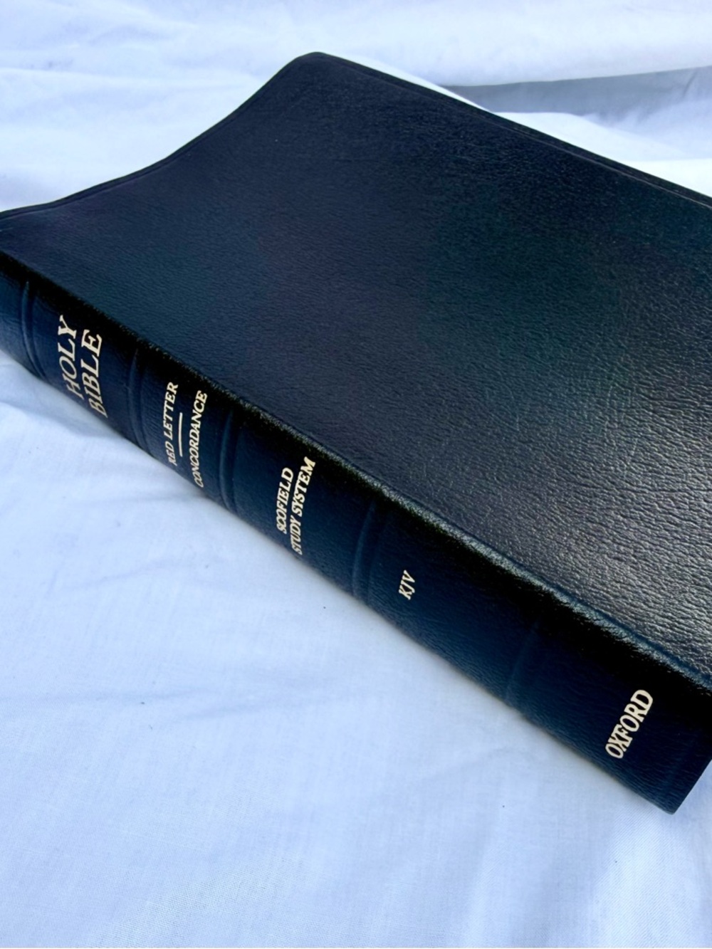 Scofield Study System Holy Bible  King James Version Red Letter Concordance